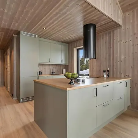 Ny Moderne I Aust-Torpa