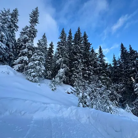 Ny Moderne I * Aust-Torpa