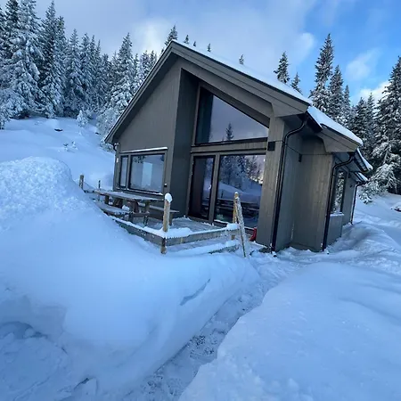 Ferienhaus Ny Moderne I *